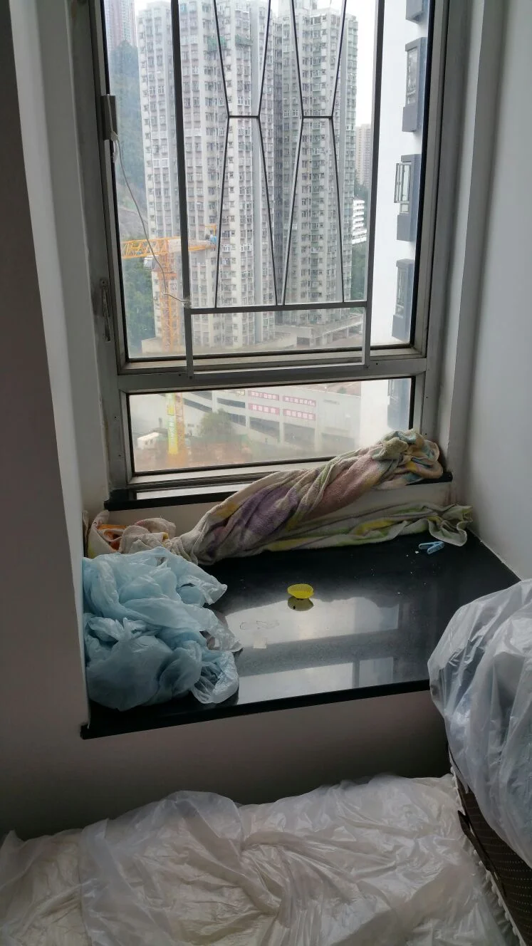 Don't Ignore Window Sill Leaks: Why You Should Proactively Seek Professional Inspection for Aluminium Window Waterproofing